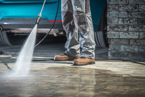 Best Winterizing Services  in Rockledge, FL